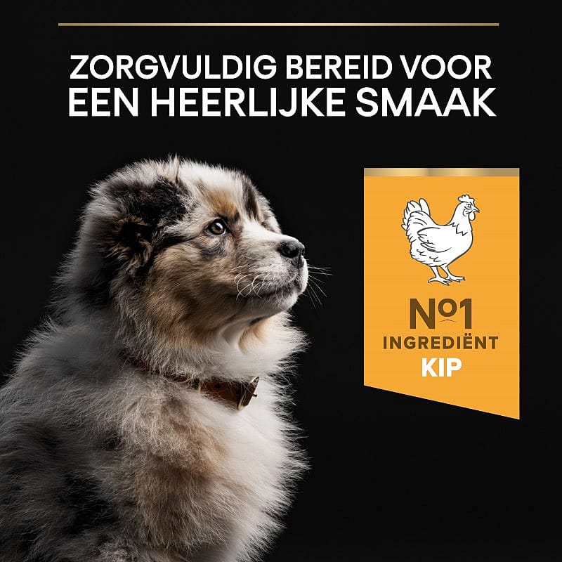 Purina Pro Plan Medium Puppy Healthy Start Kip Hondenvoer 12 kg
