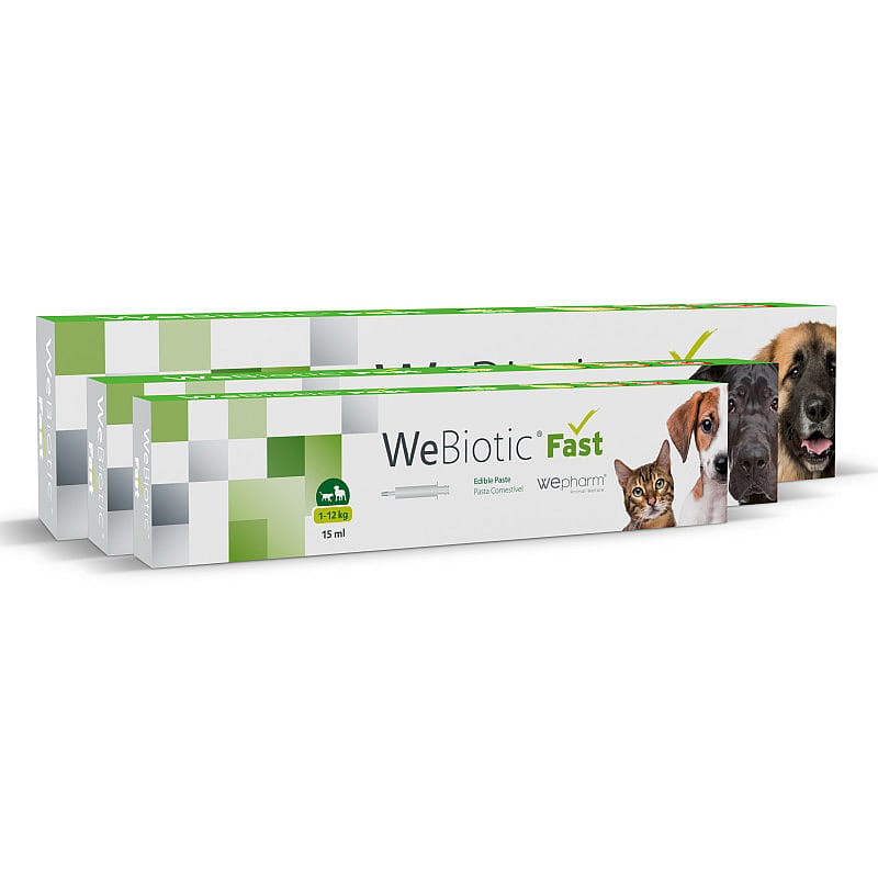 Wepharm WeBiotic Fast Pasta