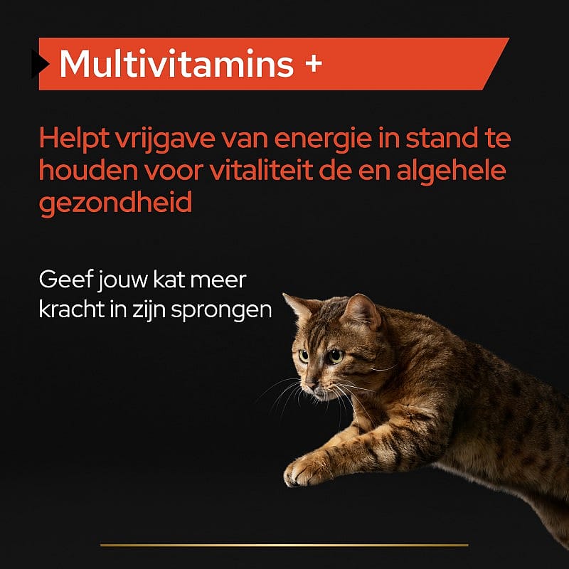 Purina Pro Plan Multivitamins+ Supplement Kat 60 gram