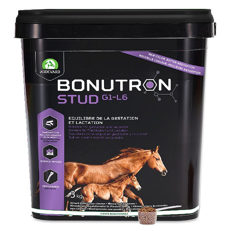 paard,  supplement,  voeding,  water,  voeding voor paarden