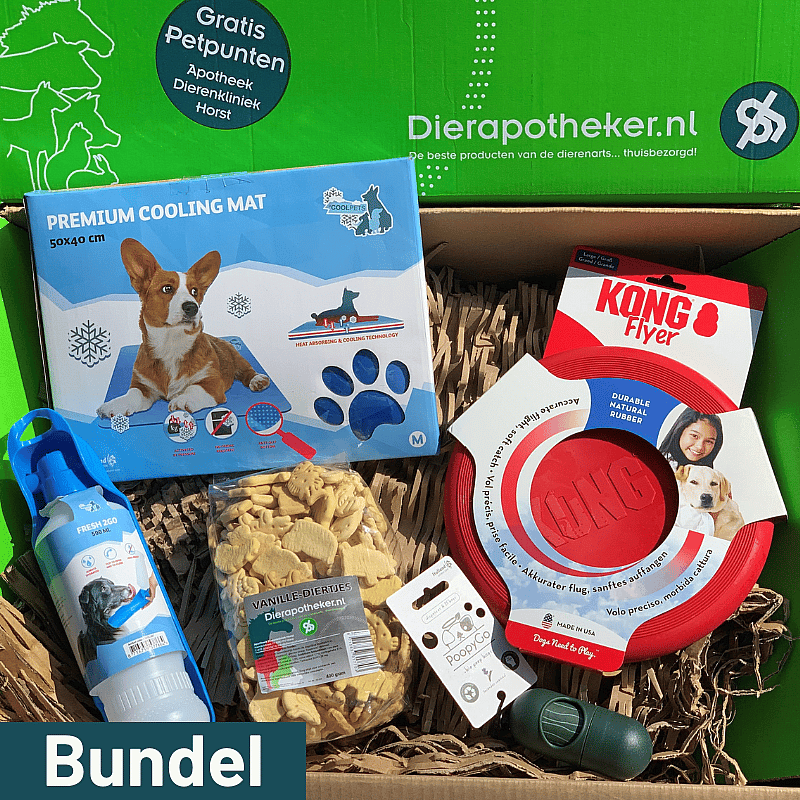 KONG Classic Flyer Hond