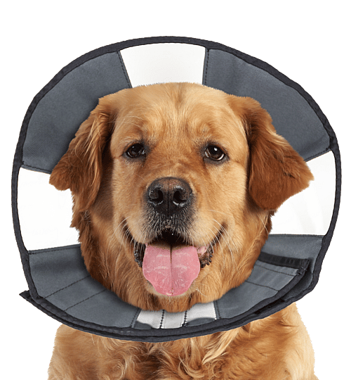 ZenPet ProCone Soft Recovery Kraag Maat Large