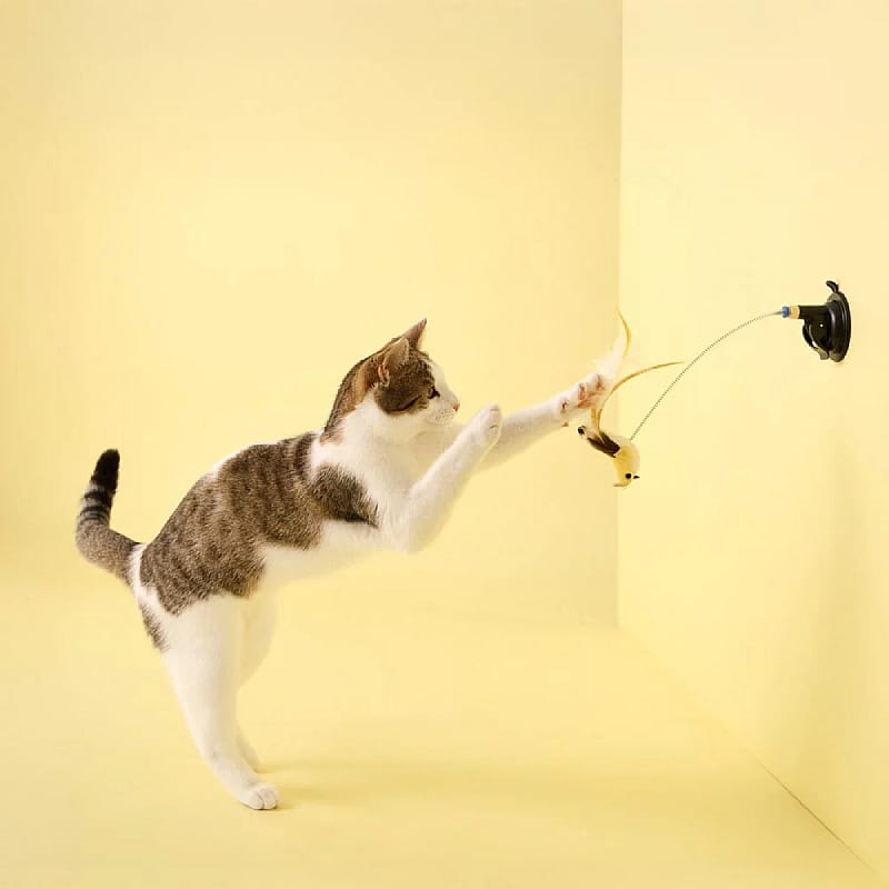 kat, katten, speelgoed, muisje, touw