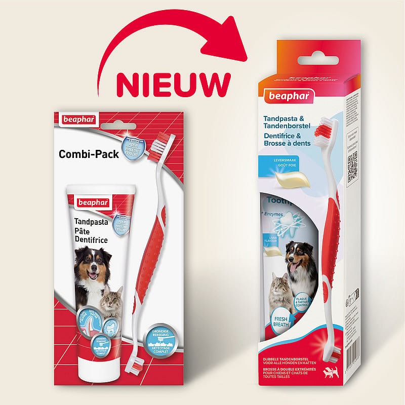 Beaphar Tandpasta en Tandenborstel 1 set