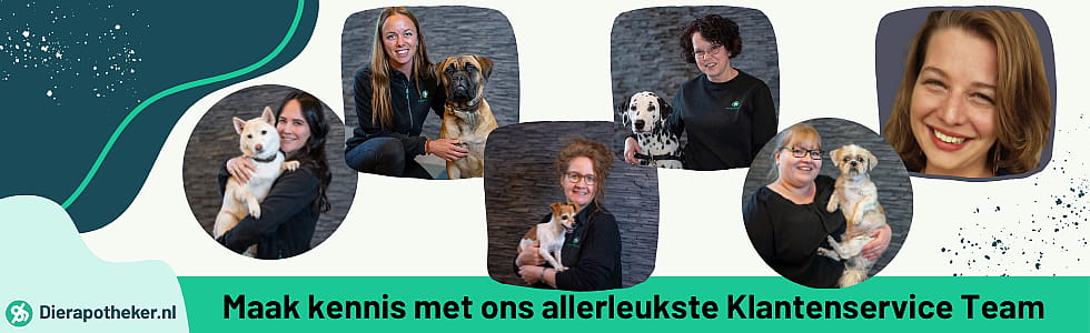 Paraveterinair Floor neemt haar hond graag mee op avontuurlijke roadtrips