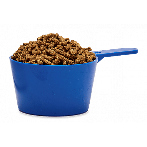 Audevard Immuno RS Paard