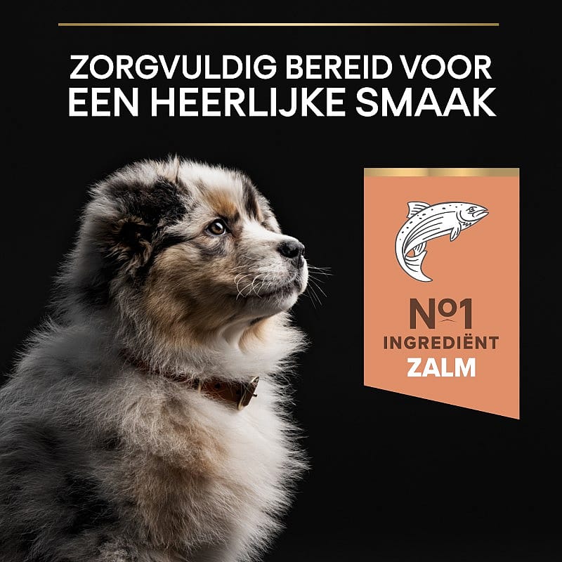 Purina Pro Plan Medium Puppy Sensitive Skin Hondenvoer Zalm 12 kg