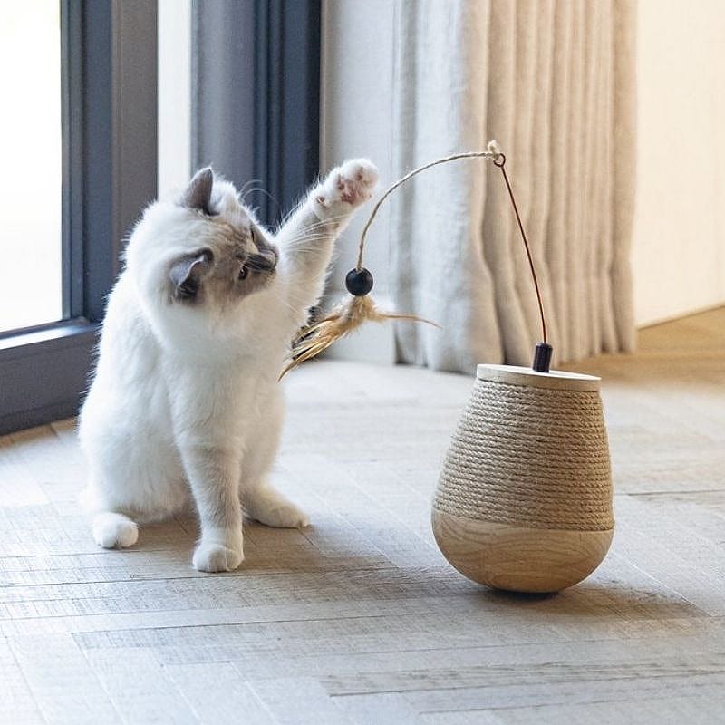 kat, katten, speelgoed, vlechtwerk, poes