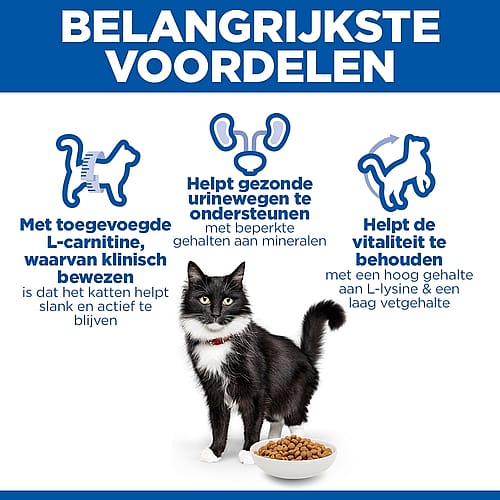 kat, voerbak, kattenvoer, kanten, l-carnitine