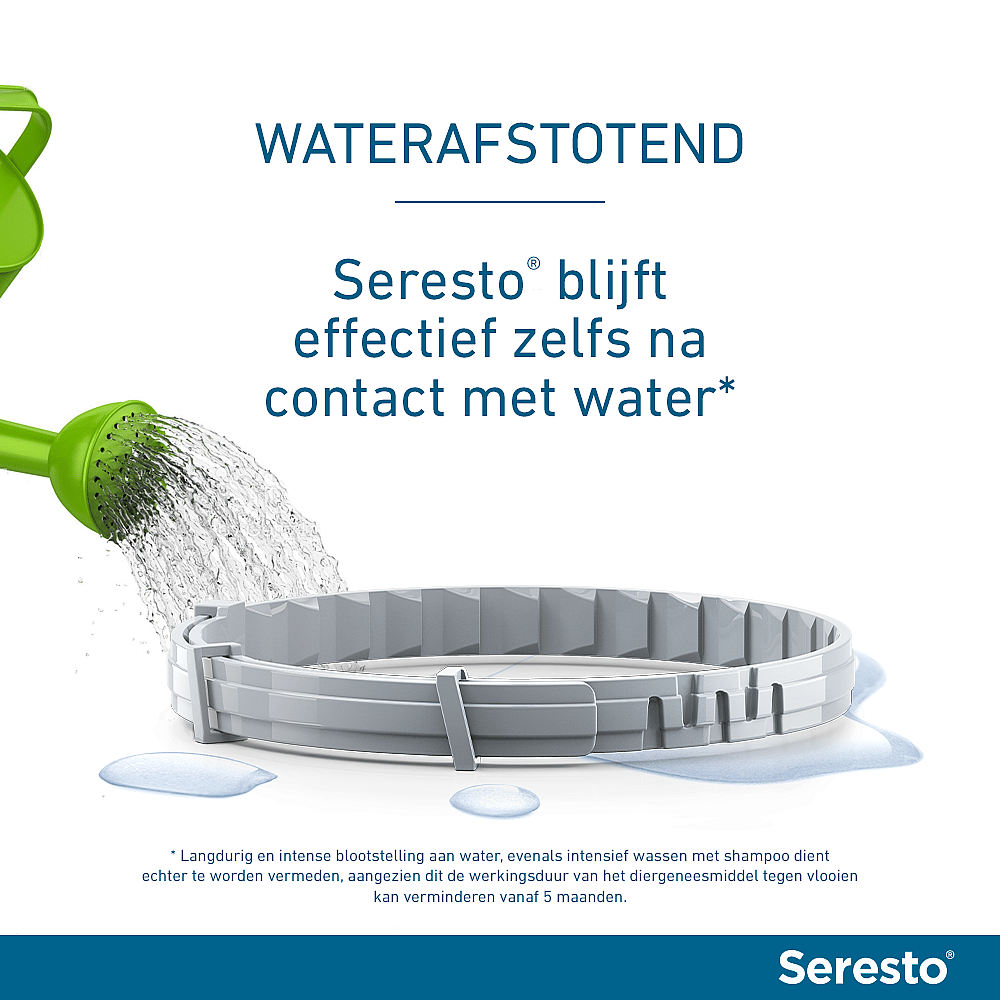 Seresto Halsband Hond: Vlooien en Teken Bescherming - 7 tot 8 maanden - Geurloos & Waterbestendig
