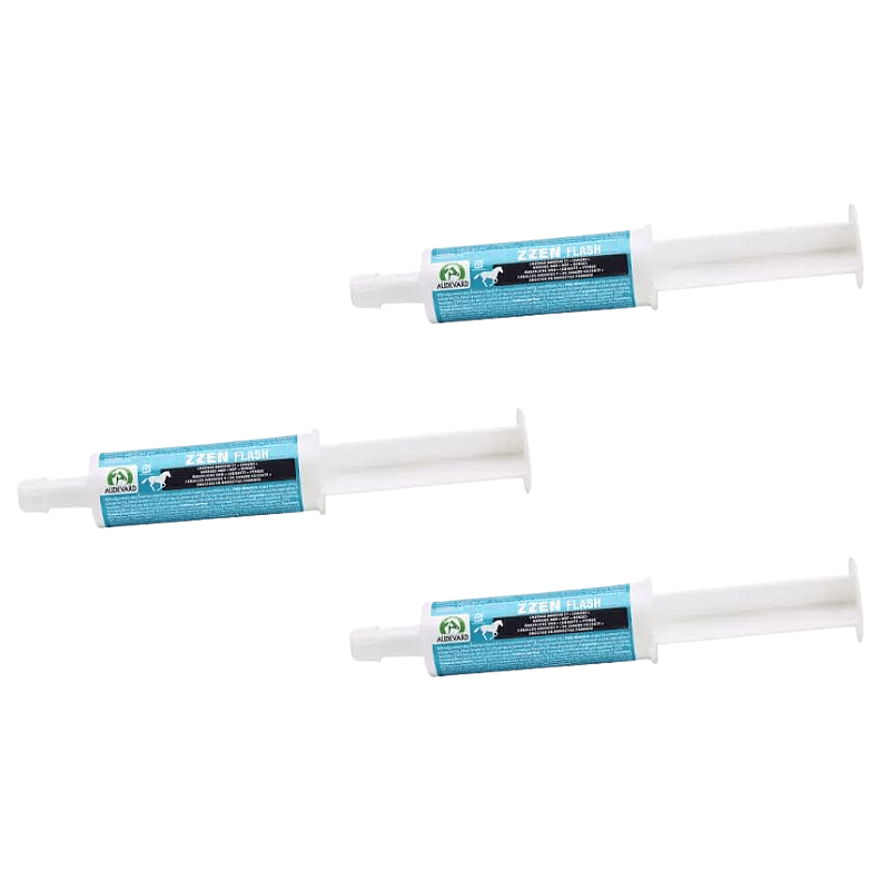 Audevard Zzen Flash Stress Paard