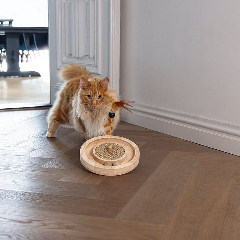 kat, speelgoed kat, gebruikt voor katten, nauwkeurige?