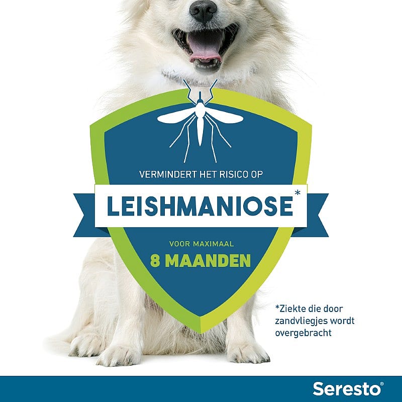 schild, logo, hond, pamfletten, advertentie