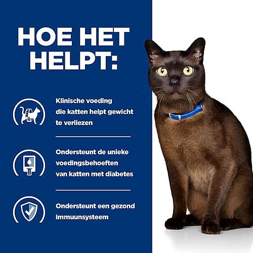 Hill's Prescription Diet MD Diabetes/Weight Management Kattenvoer