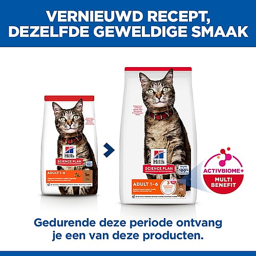 kat, kattenvoer, dierenvoer, granulaat, voerzak