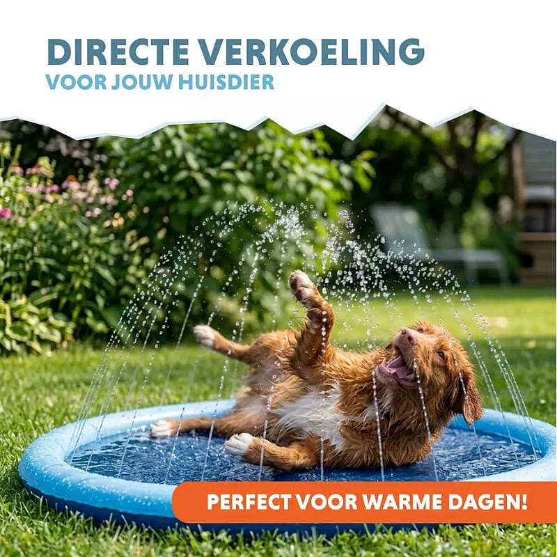 hond, waterbak, buitenspeel, dogpool, opblaasbaar