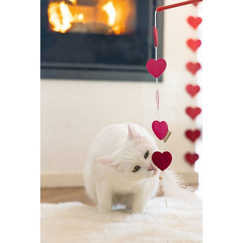 Beeztees Valentijn Kattenspeelgoed Kattenhengel Hartjes Kat