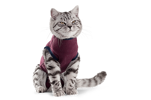 Jacketz Medical Body Suit voor Katten Maat XXX-Small