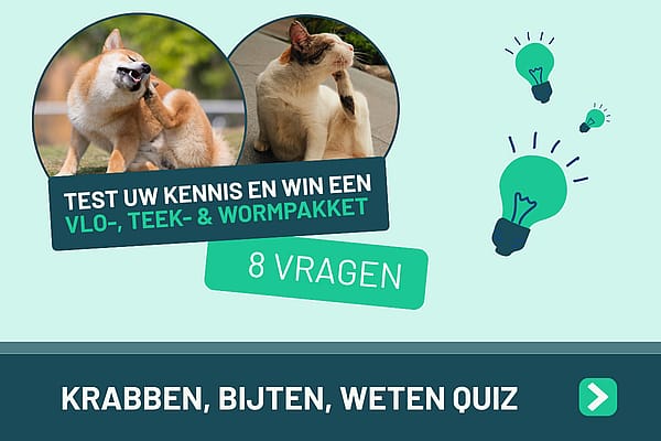De Krabben, Bijten, Weten Quiz