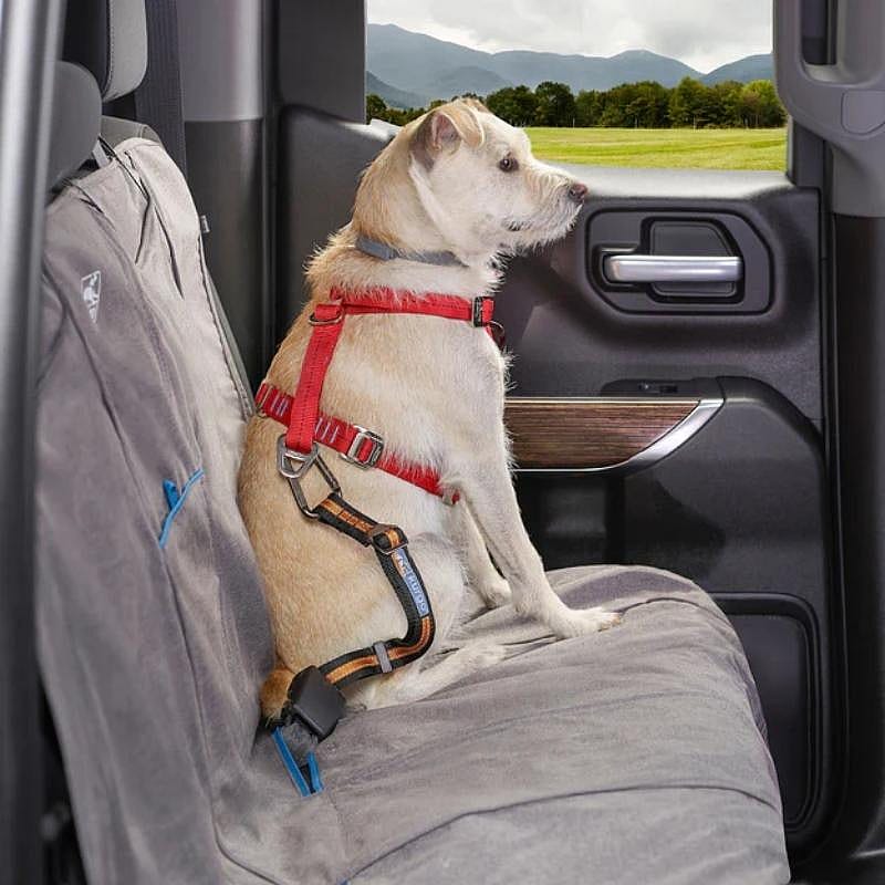 Kurgo Direct To Seatbelt Tether Oranje-zwart