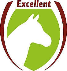 Logo, Munitie, Granaat, Wapen, Logo, Munitie, Granaat, Wapen