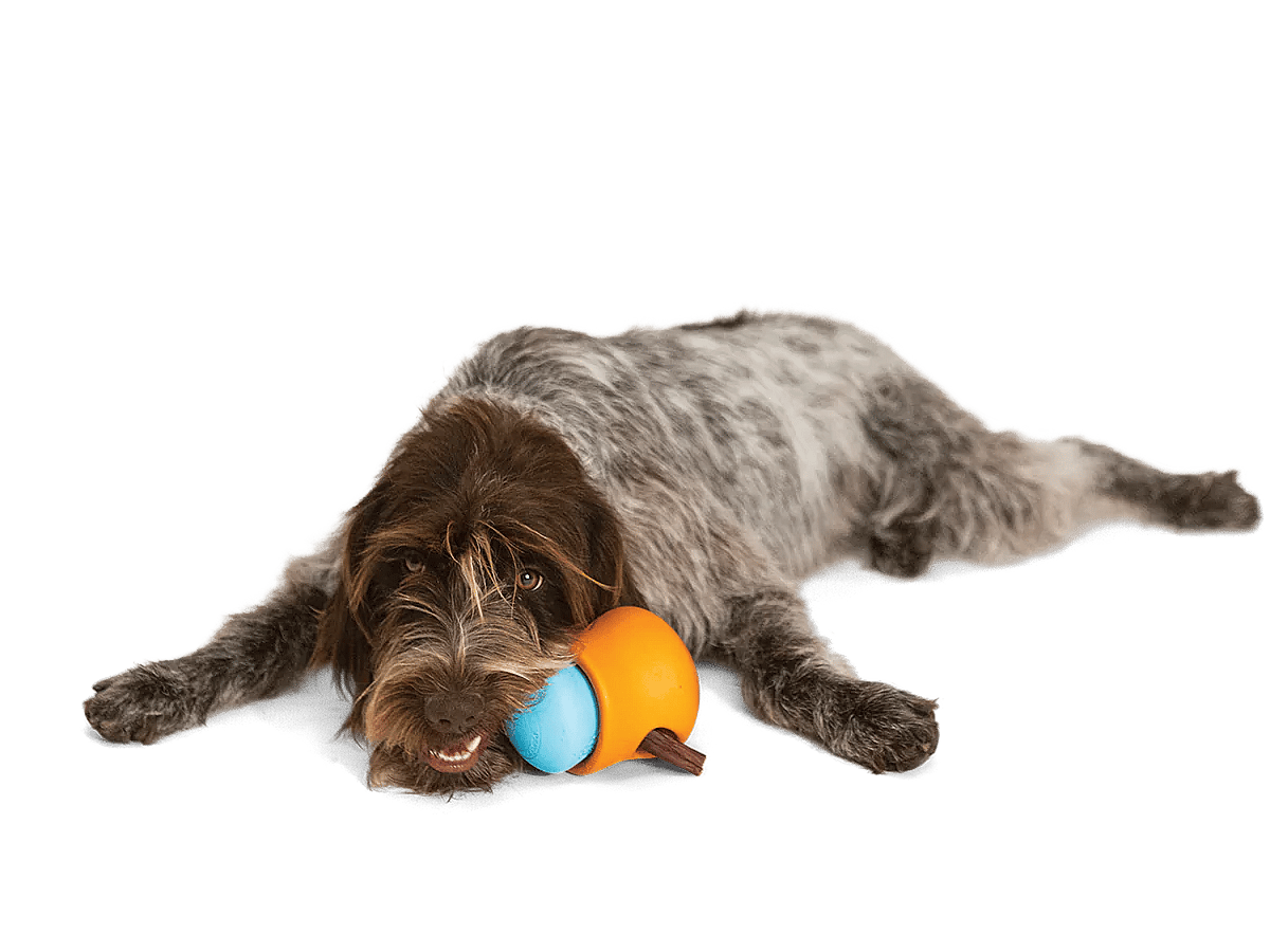 West Paw Zogoflex Toppl Traktatie Puzzel Hond