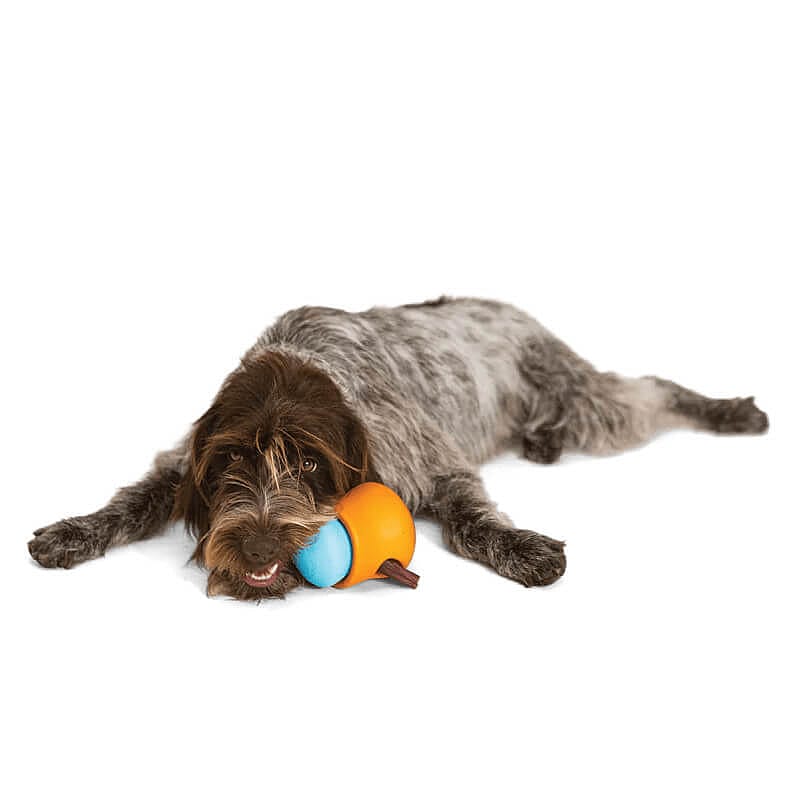 West Paw Zogoflex Toppl Traktatie Puzzel Hond Large - Aqua Blauw