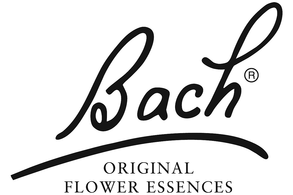 Handschrift, Tekst