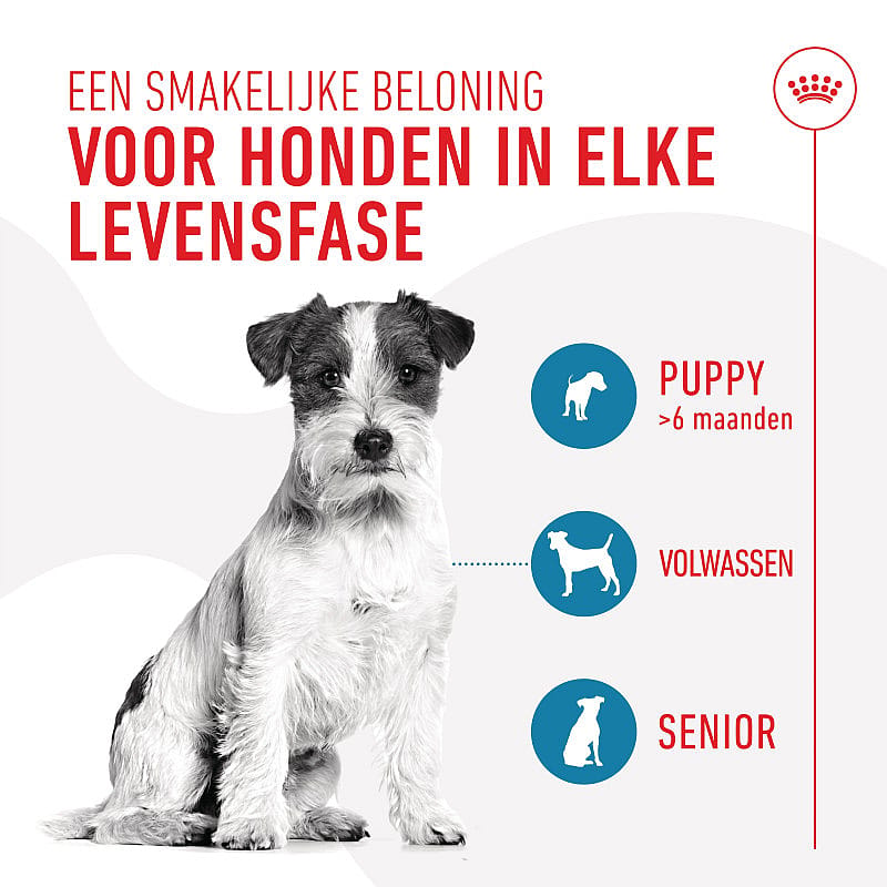 Royal Canin Training Treats 110 gram