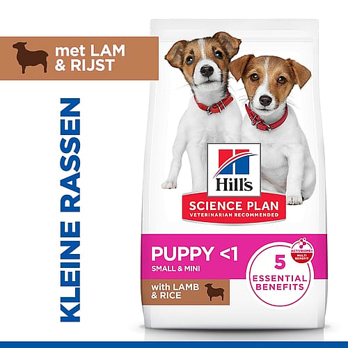 pup voer, kibble, lamsvlees, rijst, hondenvoer