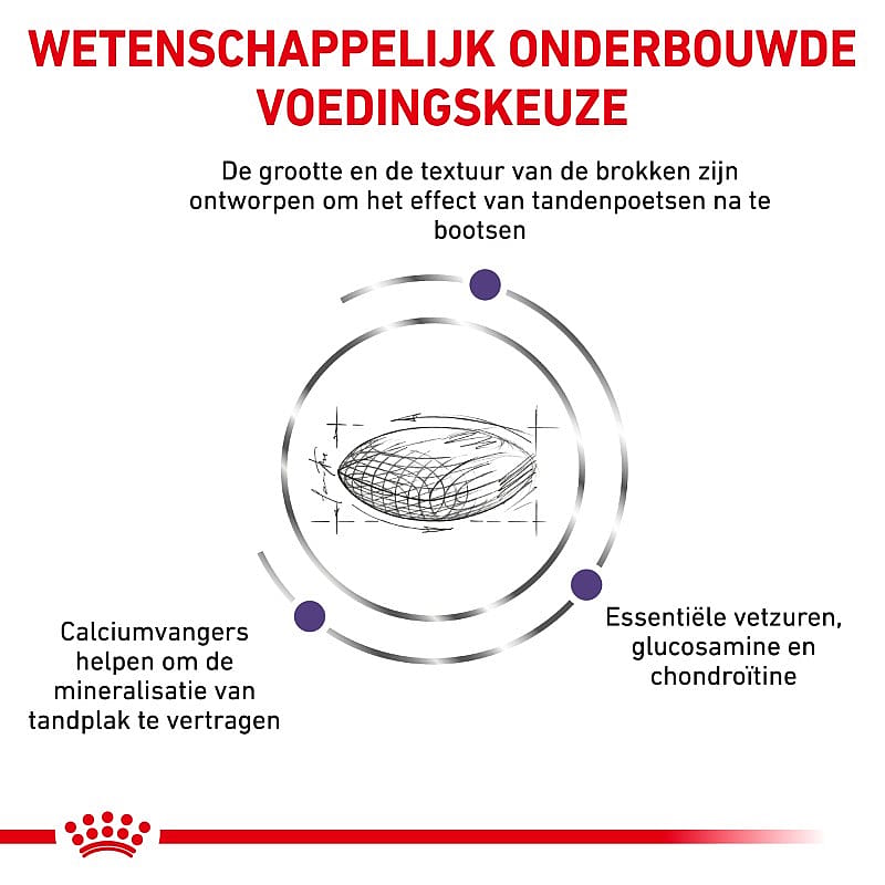 Royal Canin Dental Hond