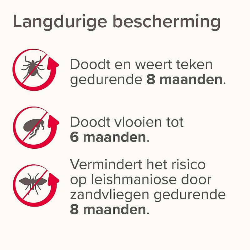 insecten, bescherming, gifvrije afbeelding, vectorelementen, tekst-informatie
