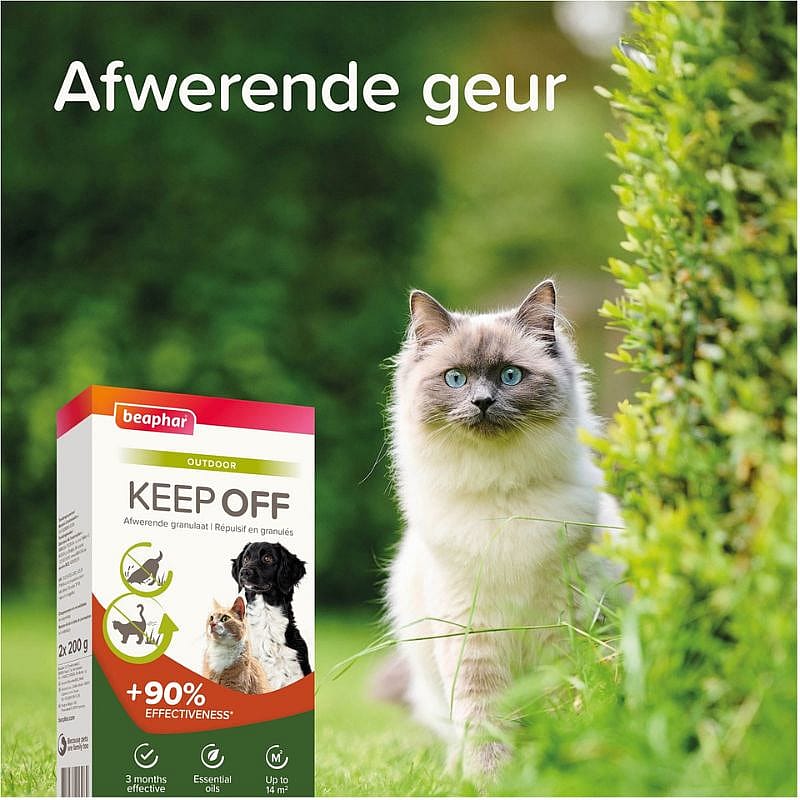 kat, afwerend, pethygiene, kattenmiddel, kaars