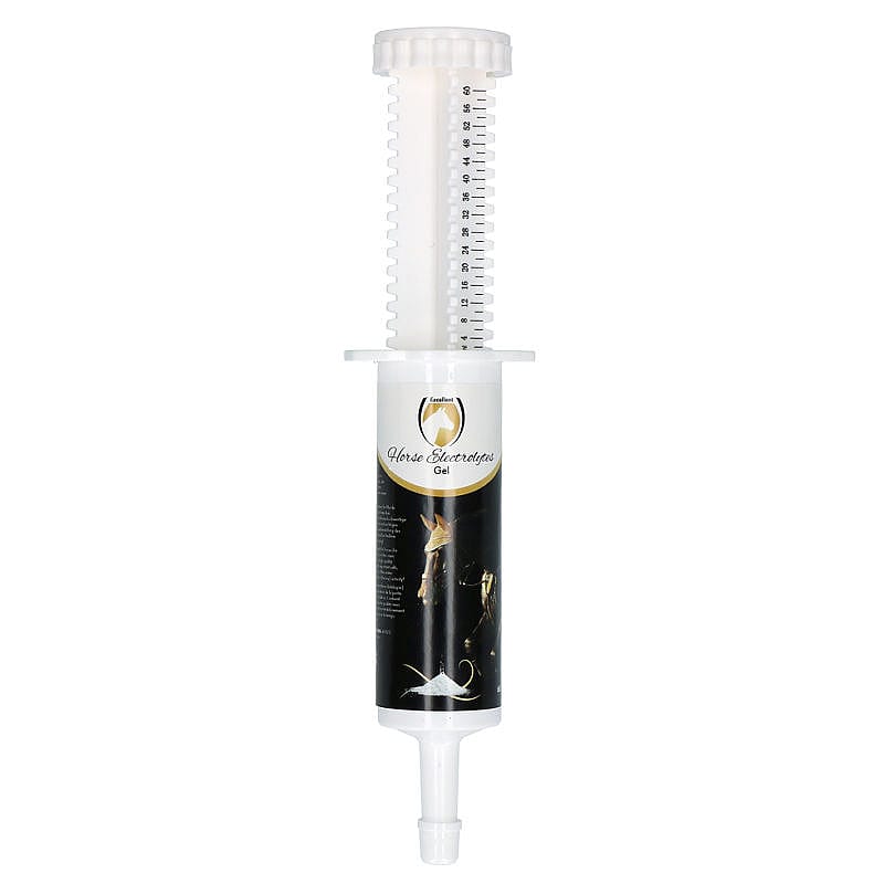Horse Electrolytes Gel Injector