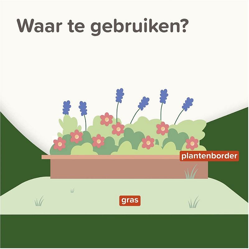 plantenbak, groene grond, bloemen, gras, tuin