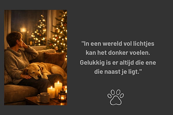 Feestdagen en eenzaamheid: de troost van een huisdier aan je zijde