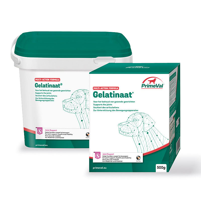 Primeval Gelatinaat Hond