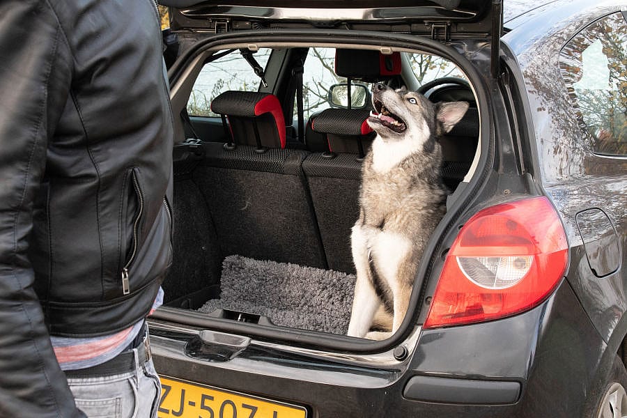 Royal Dry Doormat Droogloop deurmat Hond