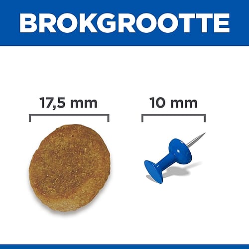 mandje, frituur, koekje, knappertje, draagvlak
