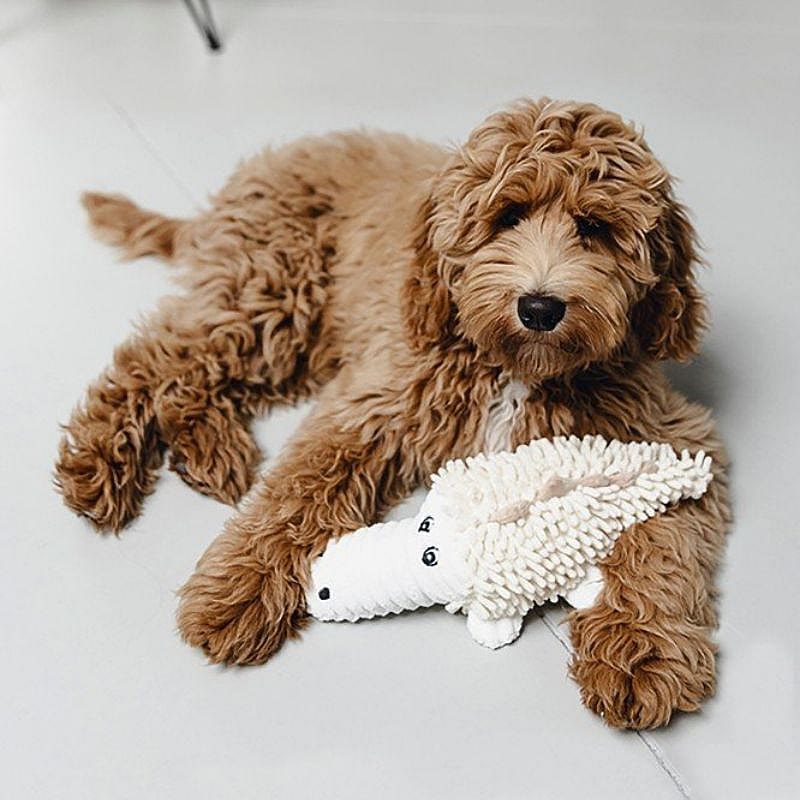 hond, kussen, speen, pluche, bruin