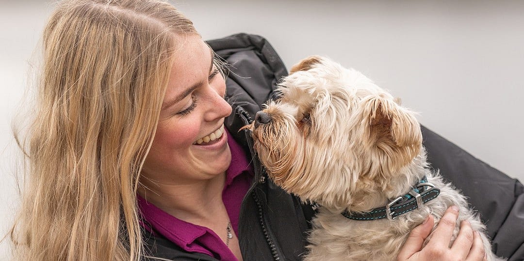 Honden vieren alles