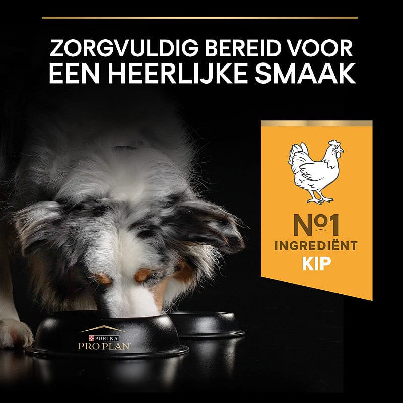 hondenvoer, brok, kip, dierenspecifiek, proplan