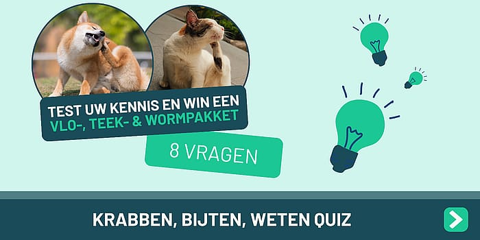 De Krabben, Bijten, Weten Quiz