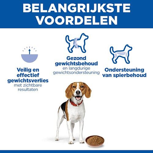 dog, beagle, dogfood, kibble, bowl