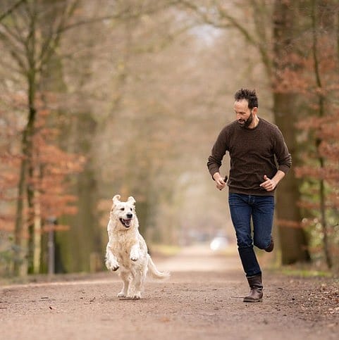 Hondenfitness: zo houdt u uw hond sterk, soepel en gezond