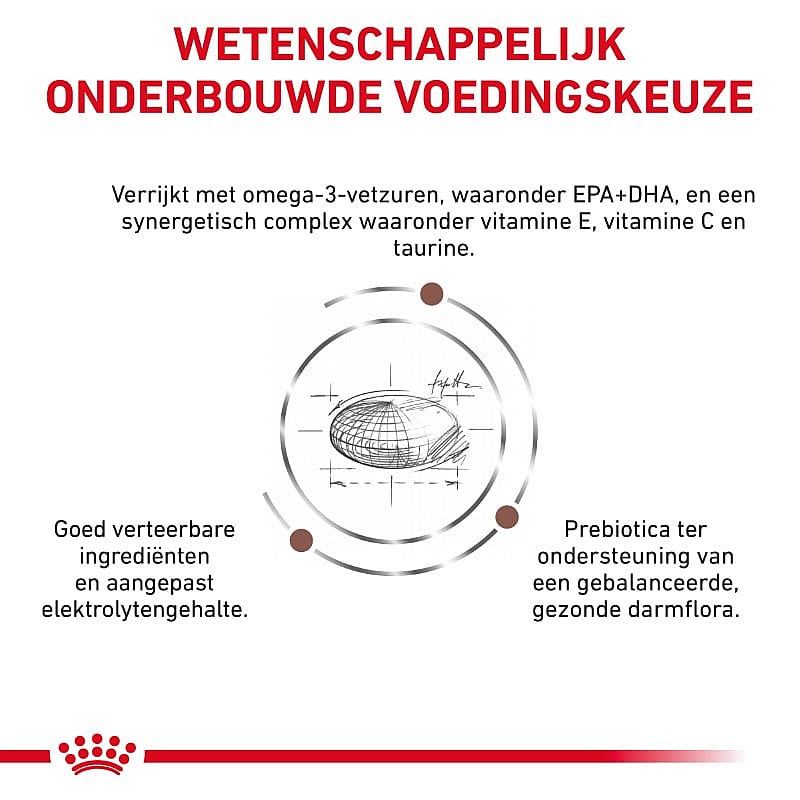 Royal Canin Gastrointestinal Low Fat Hond 6 kg
