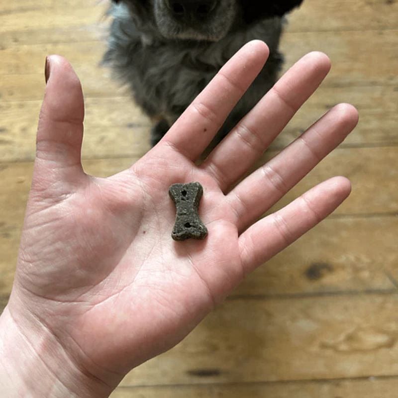 Beco Treats Dog Choc with Camomile & Quinoa 1 x 70 gram Hond
