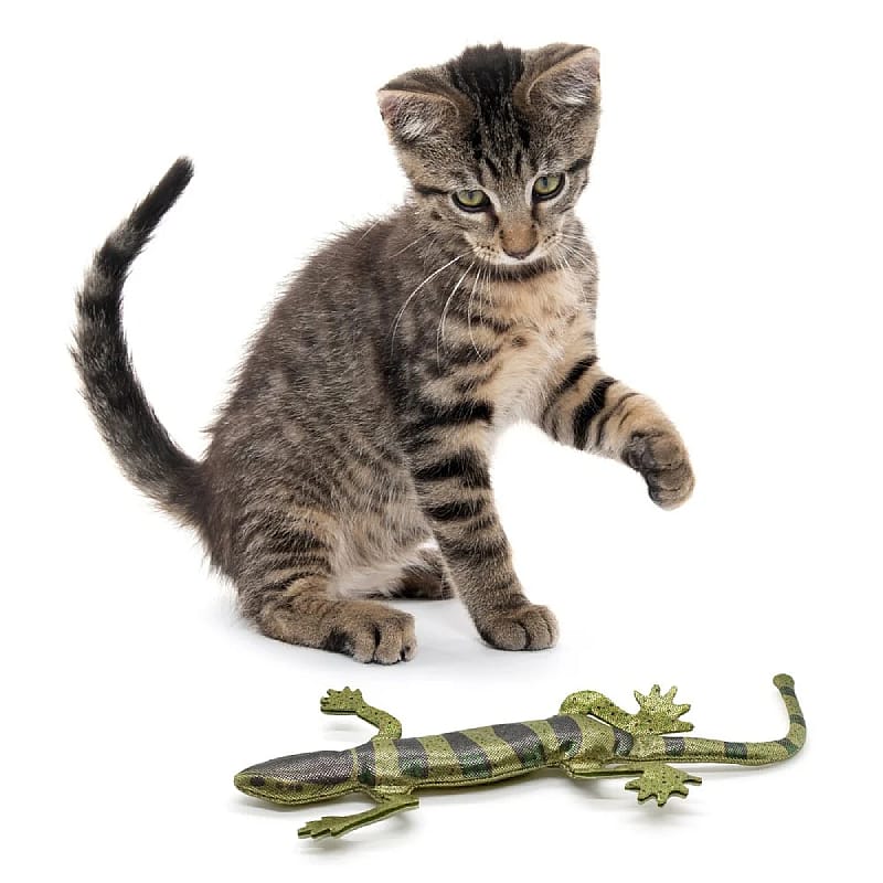 kat, speelgoed, tijgerkat, naald?, reptiel