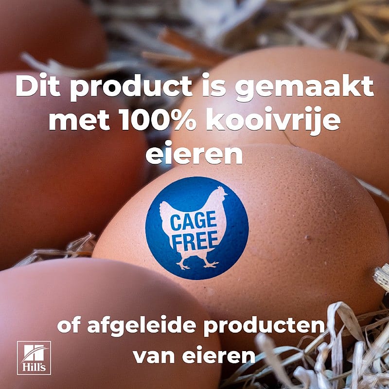 eieren, kooi vrij, cage free, halogevee, nest materiaal