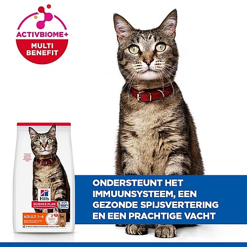 kat, kattenvoer, voeding, honden kattenvoer, katoen?